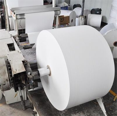 PE Coating Glassine Paper Thermal Jumbo Roll 1080/1224/1525 mm for Packaging