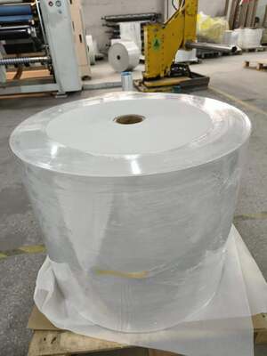 70g 75g Direct Thermal Label Roll 0.072 Mm Thickness Self Adhesive Custom