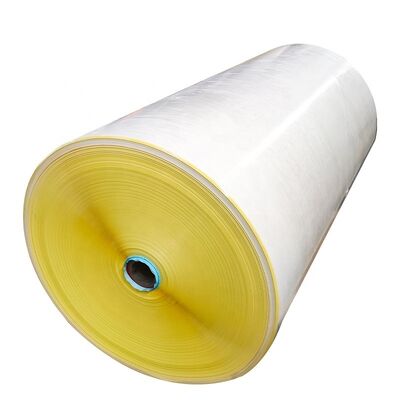 Custom Size Thermal Label Paper Roll with Water Base Permanent Adhesive