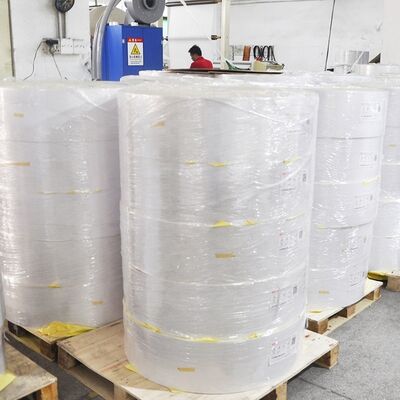 Custom Size Eco Thermal Label Paper Roll 72gsm for Direct Thermal Sticker Paper