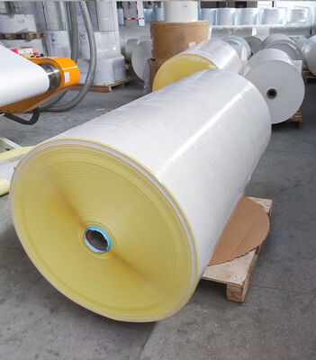 Eco Direct Thermal Label Roll 72gsm Strong Adhesive for Sticker Printing