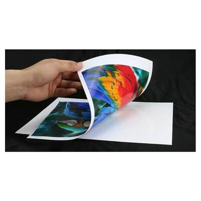 115g 135g 150g High Glossy Sticker Paper Waterproof Inkjet Adhesive Paper